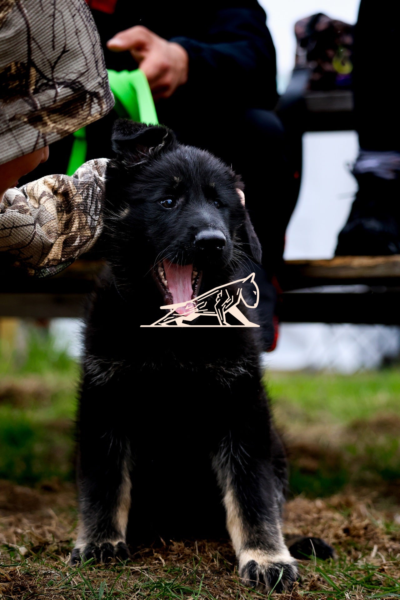 Topline's Ultra Games - Image 087