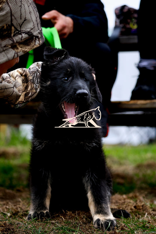 Topline's Ultra Games - Image 087