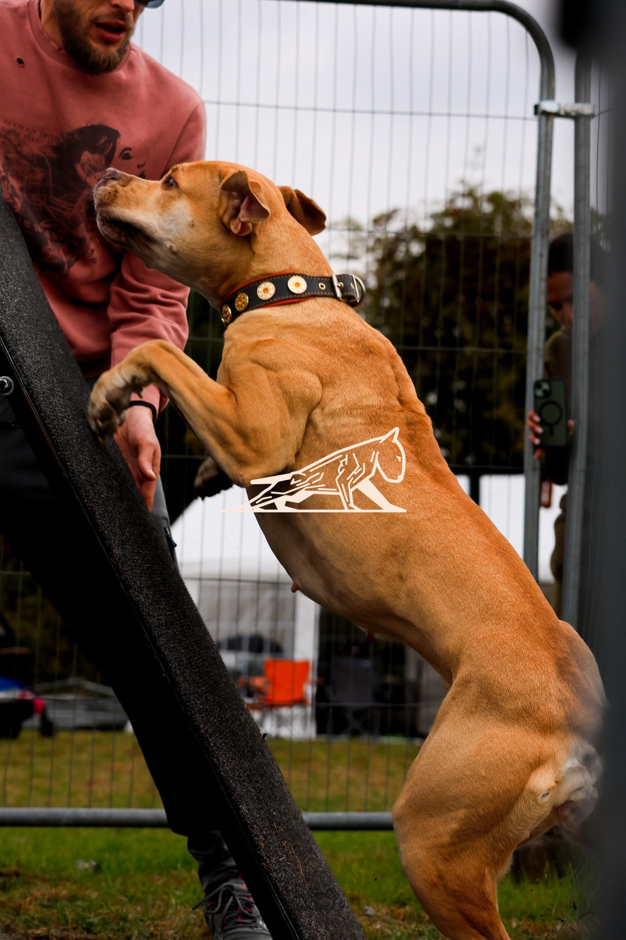 Topline's Ultra Games - Image 088