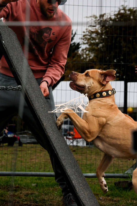 Topline's Ultra Games - Image 089