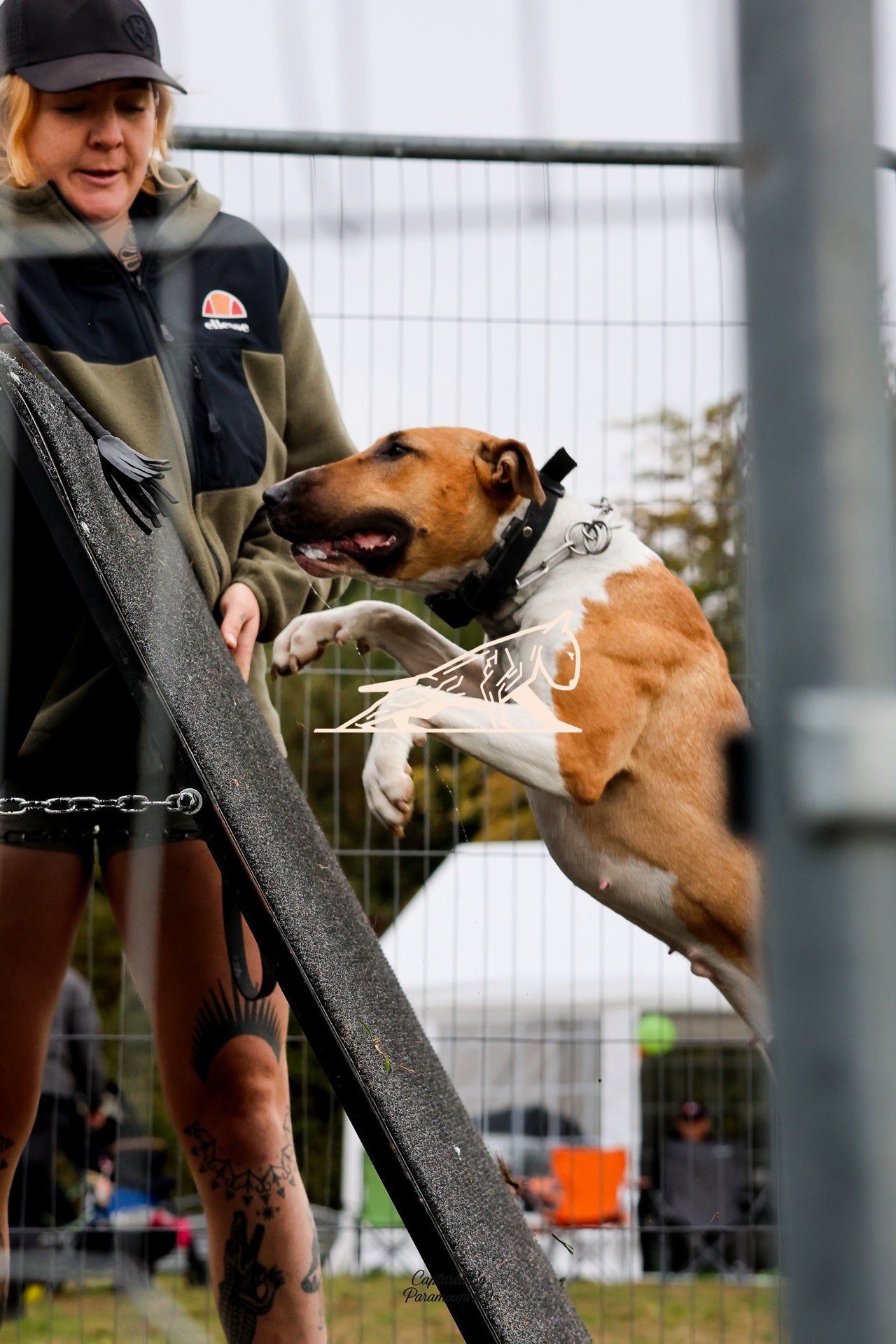 Topline's Ultra Games - Image 091