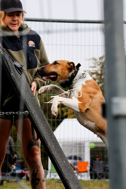 Topline's Ultra Games - Image 091