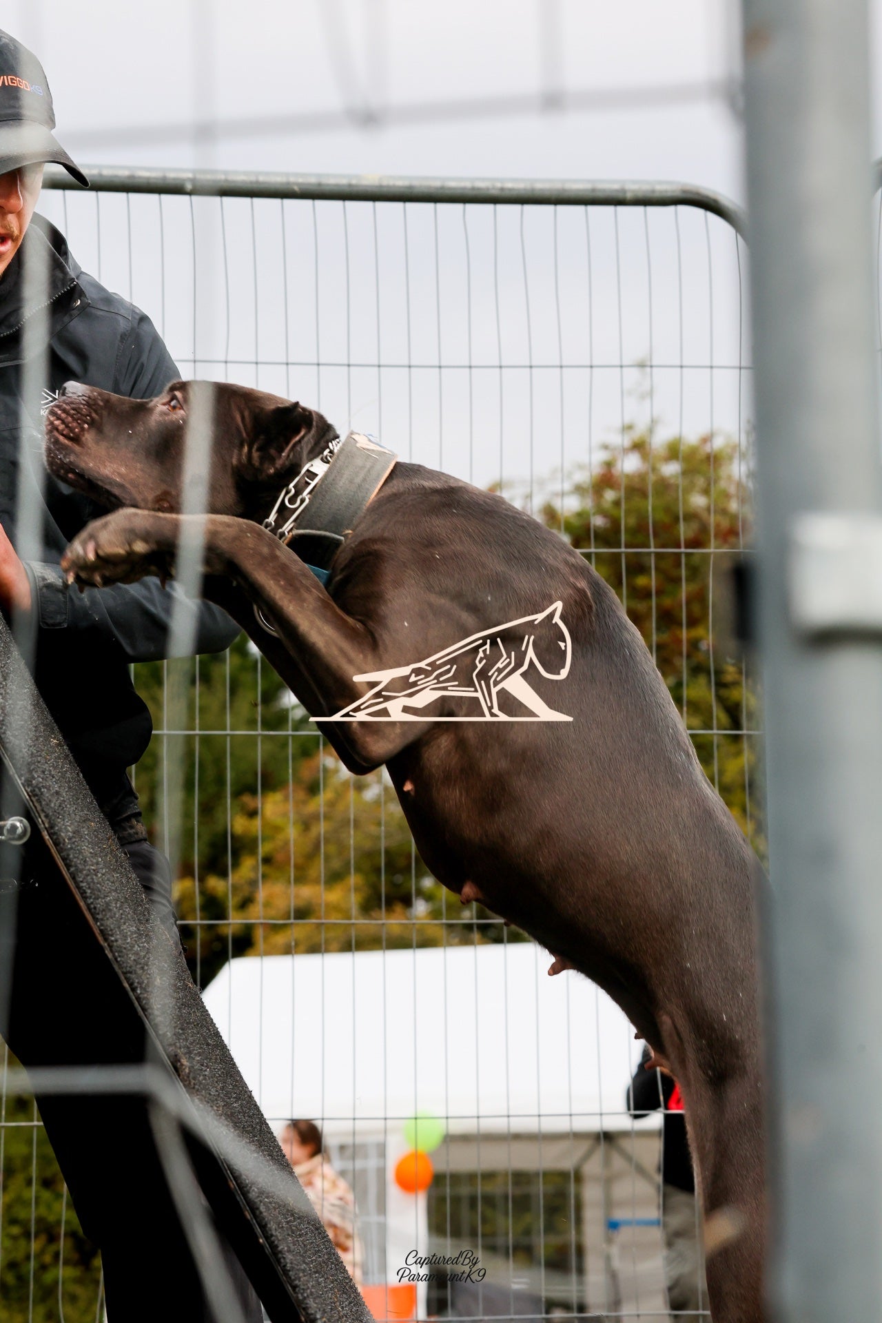 Topline's Ultra Games - Image 092