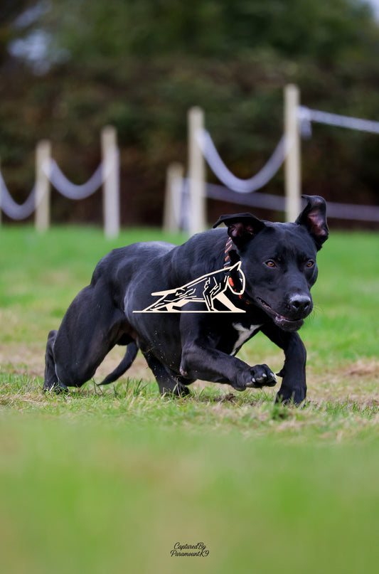 Topline's Ultra Games - Image 093