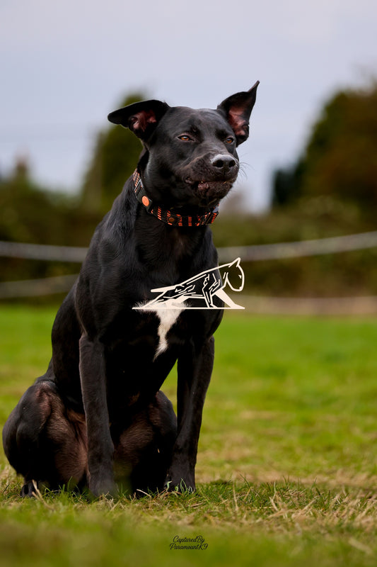 Topline's Ultra Games - Image 095