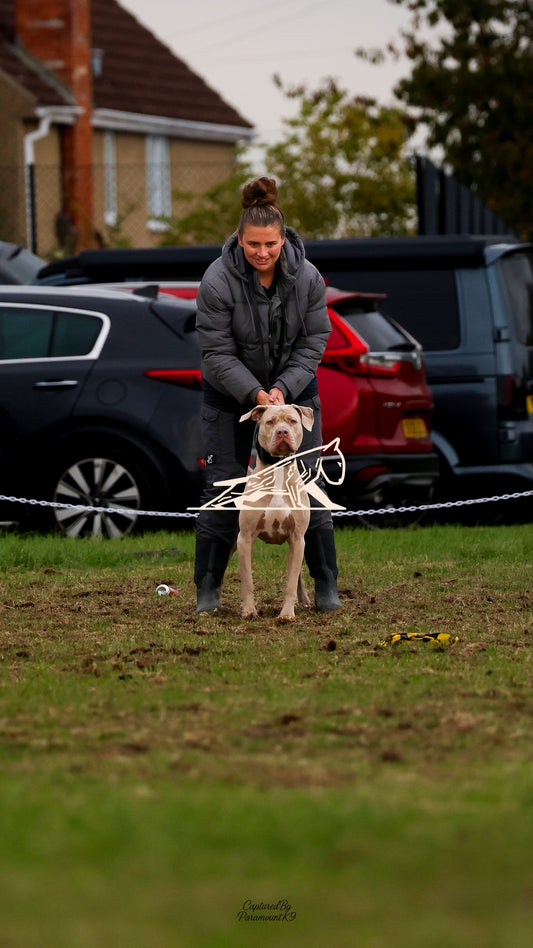 Topline's Ultra Games - Image 097