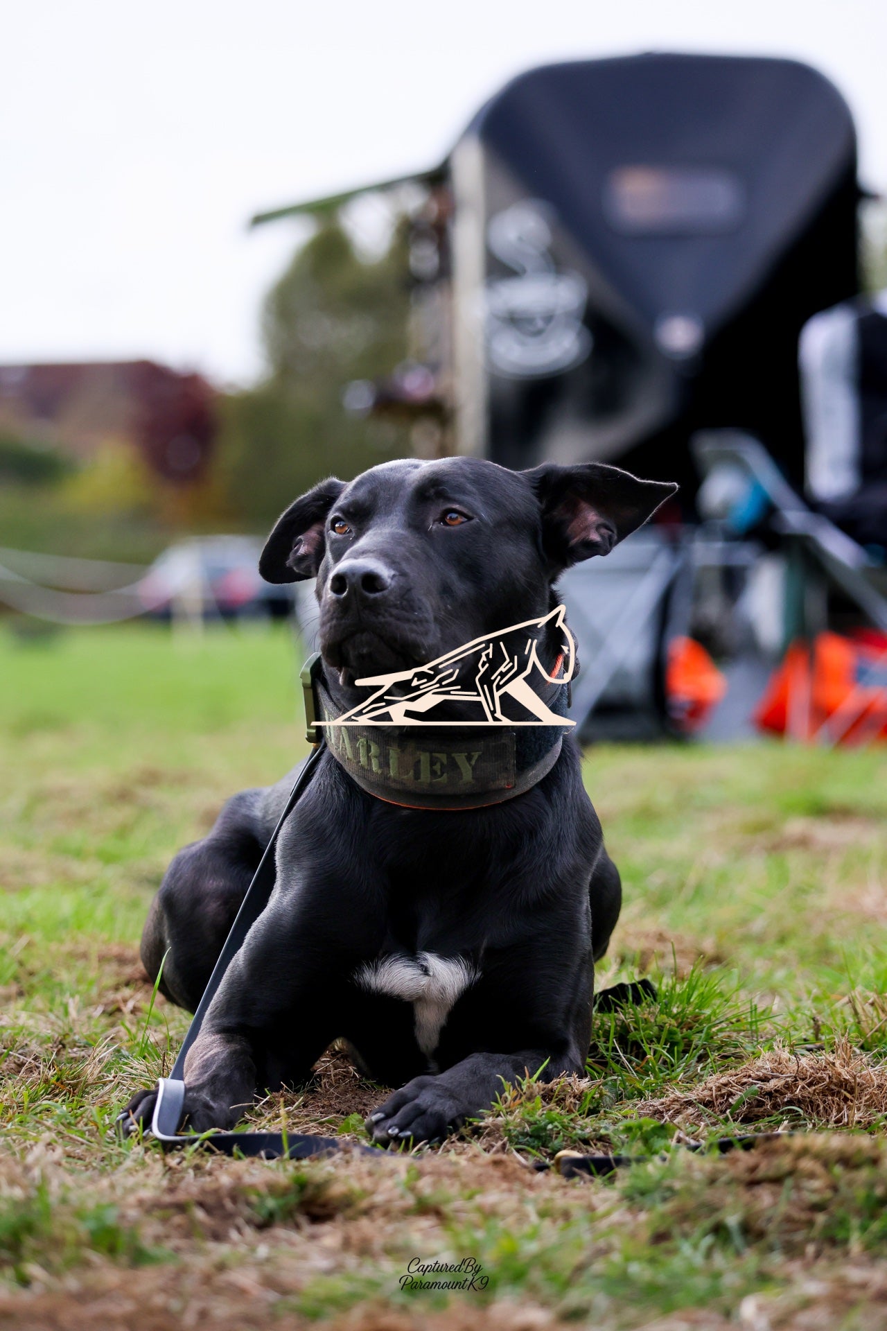 Topline's Ultra Games - Image 103