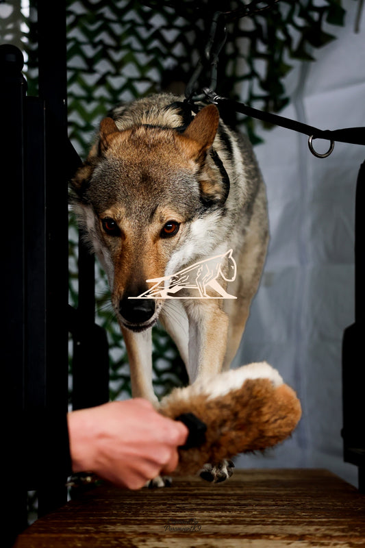 Topline's Ultra Games - Image 106