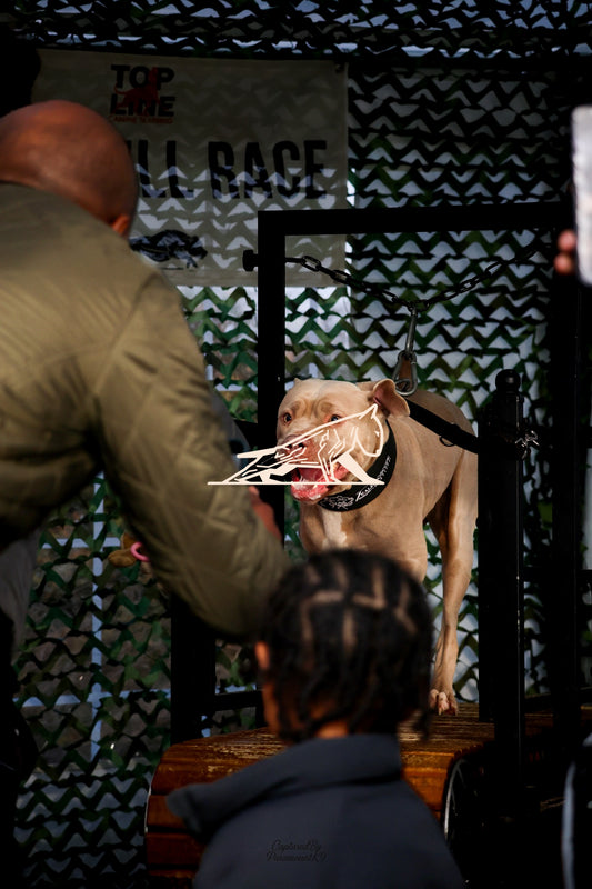 Topline's Ultra Games - Image 108