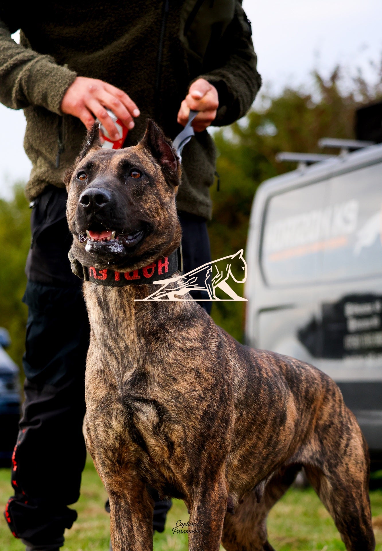 Topline's Ultra Games - Image 112