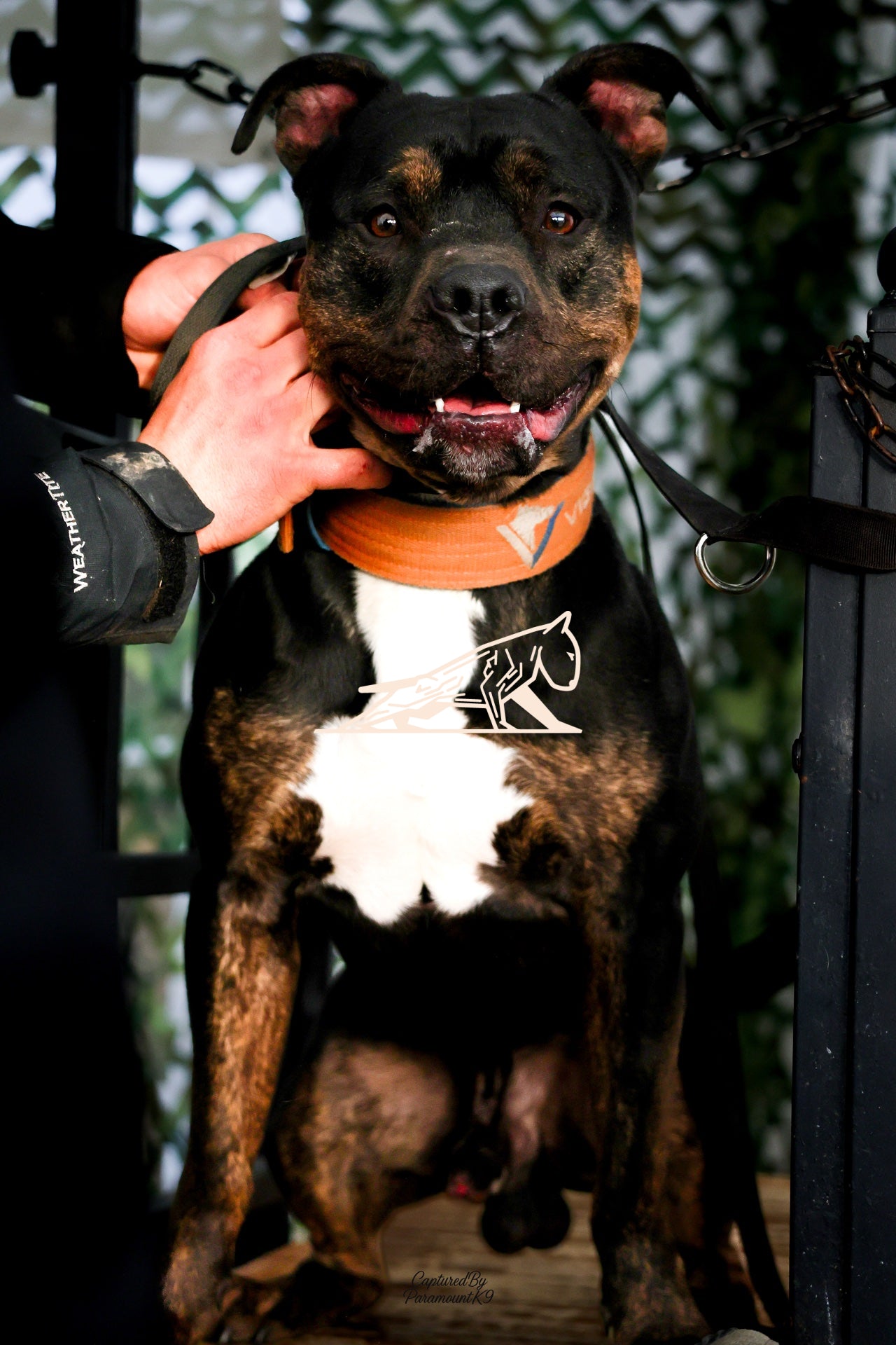 Topline's Ultra Games - Image 114