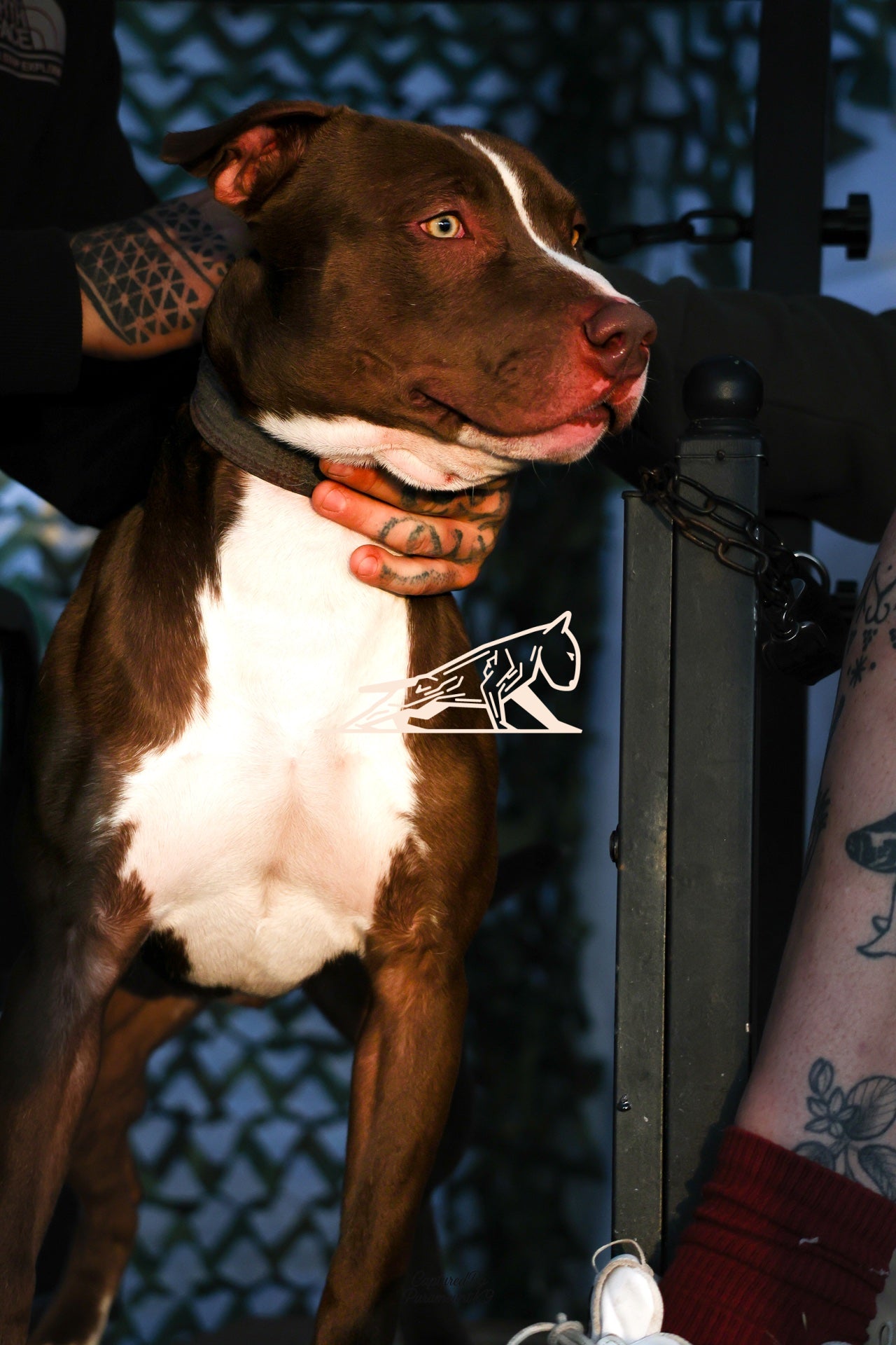 Topline's Ultra Games - Image 118