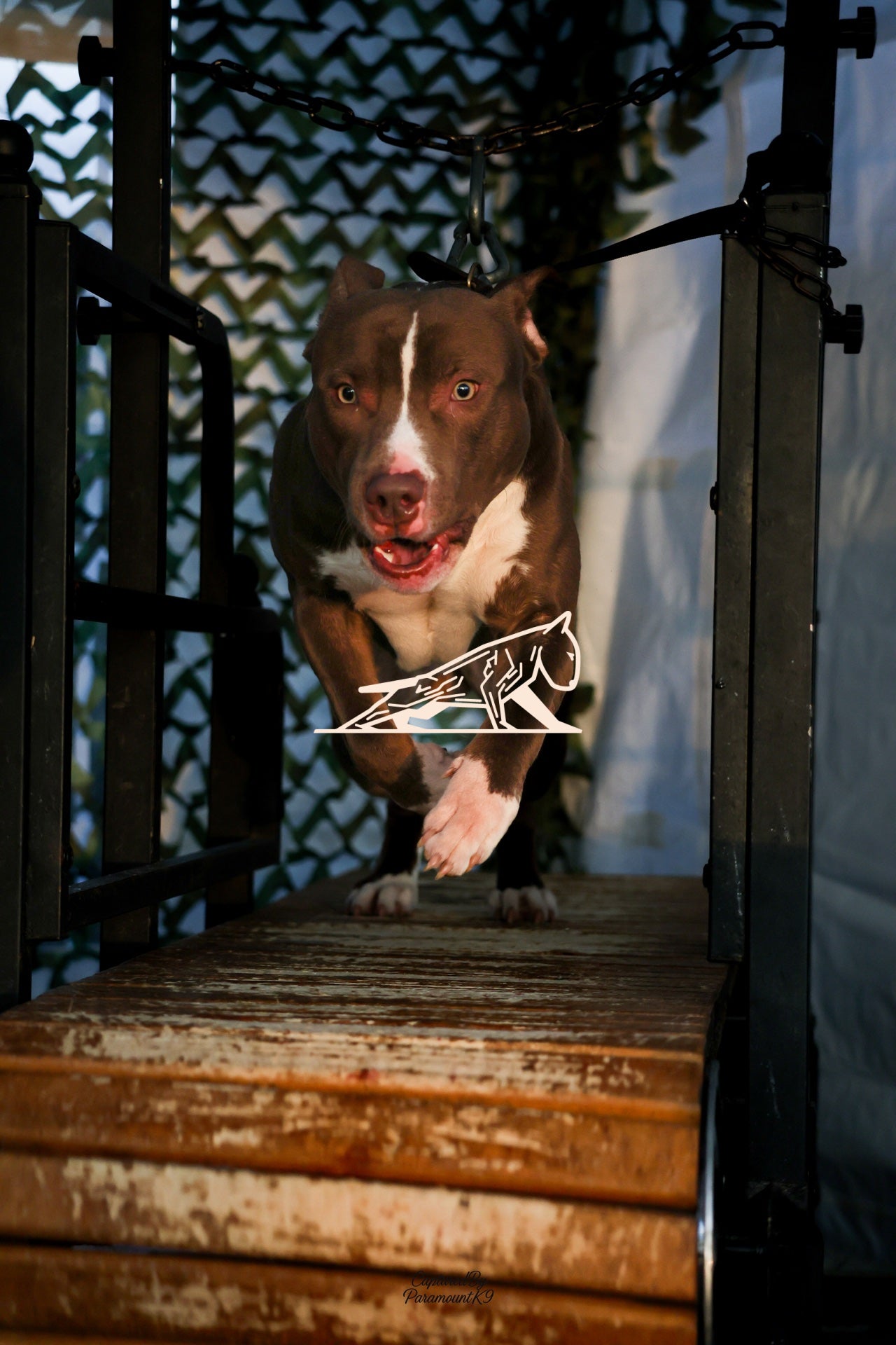 Topline's Ultra Games - Image 119