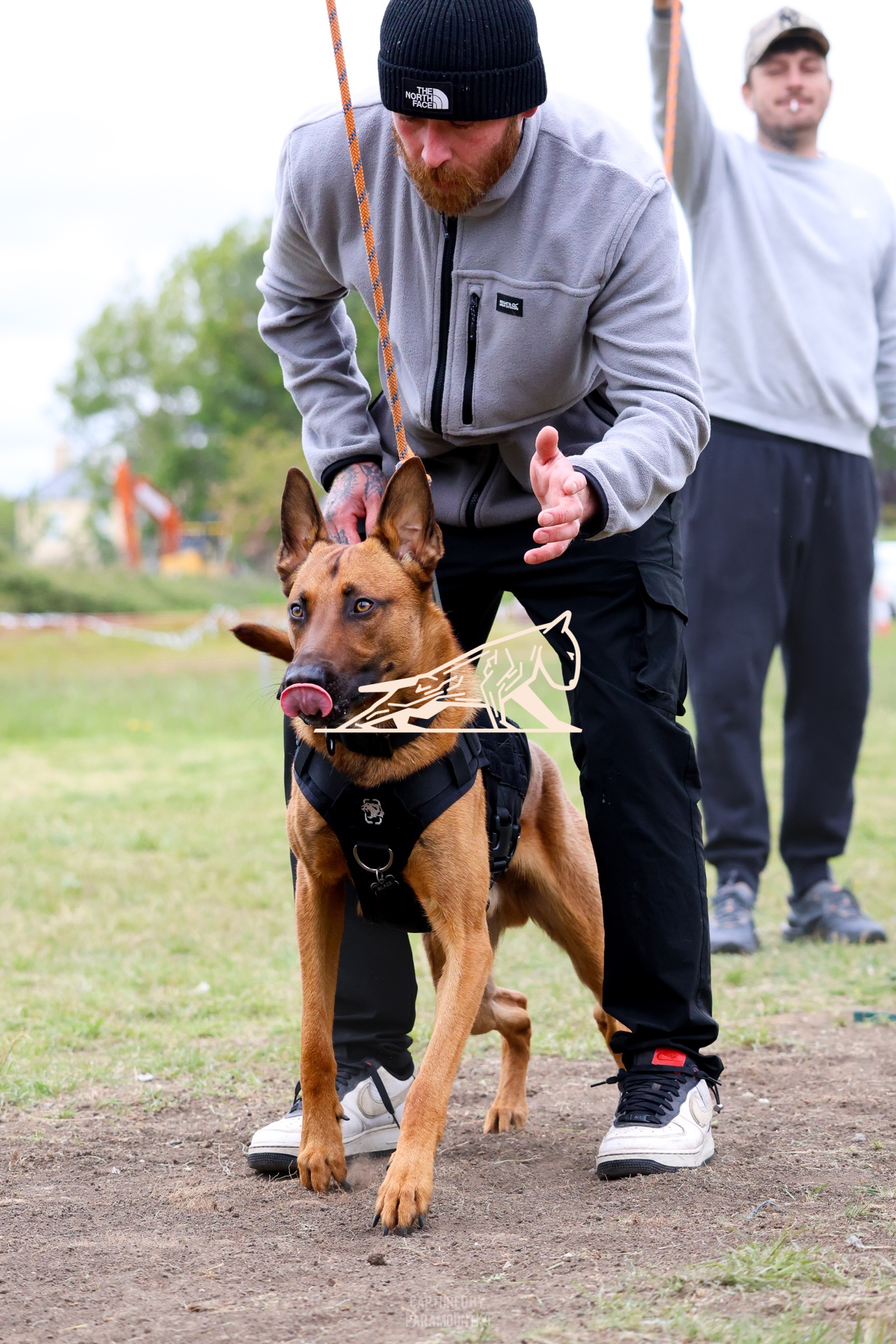 Top Line Canine Summer Opener - Image 063