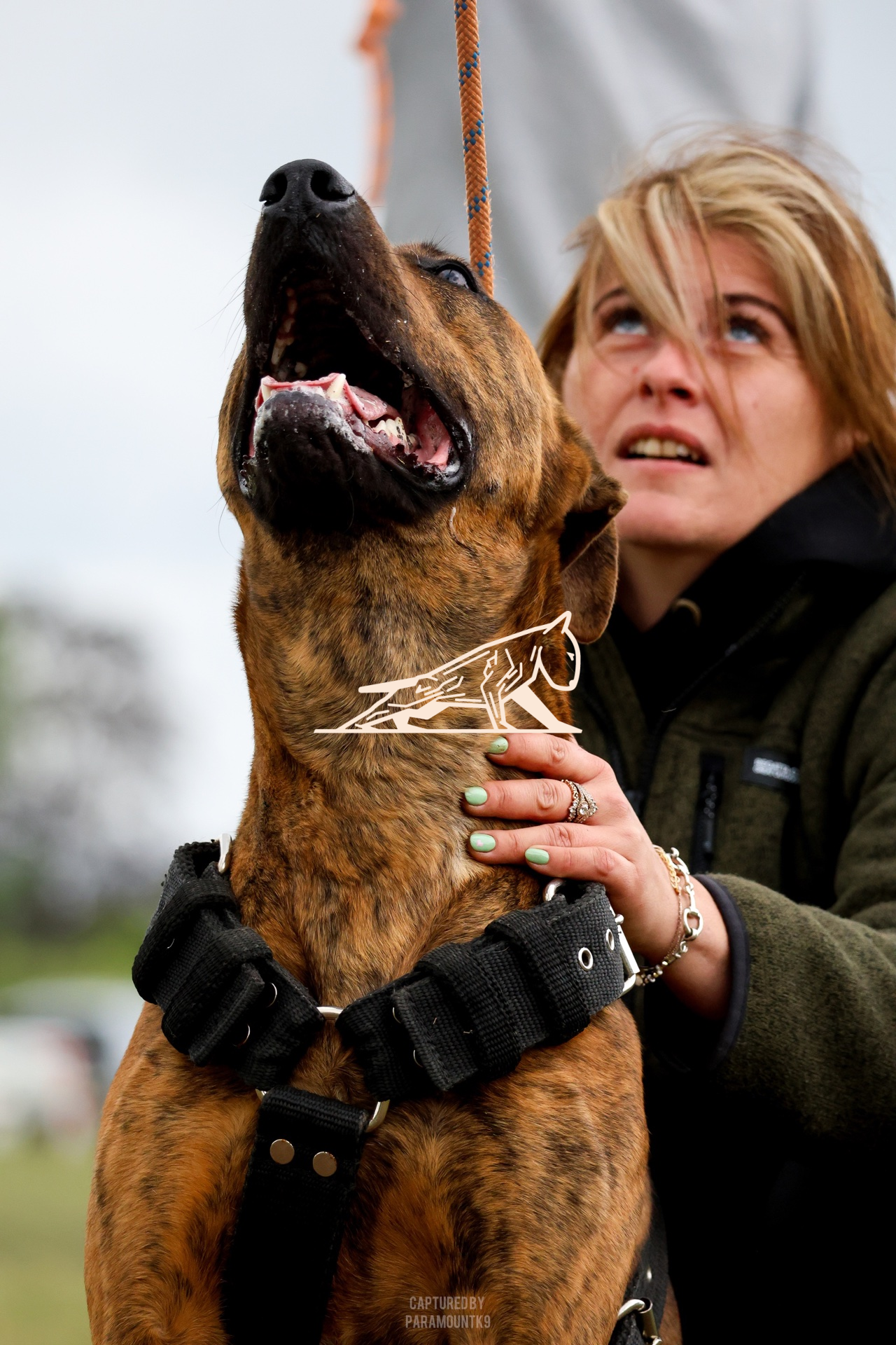 Top Line Canine Summer Opener - Image 075