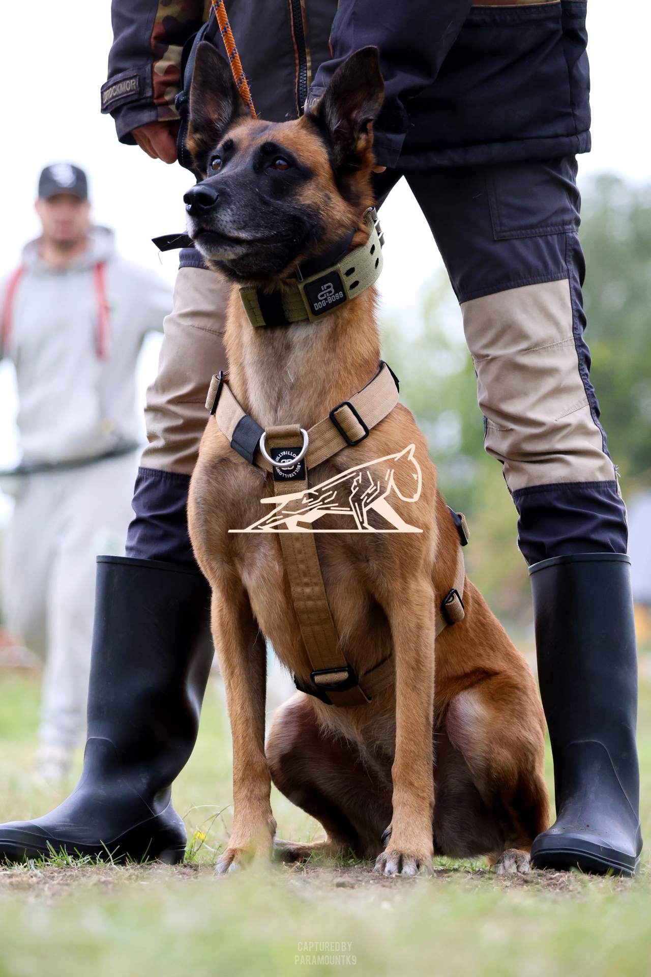 Top Line Canine Summer Opener - Image 110