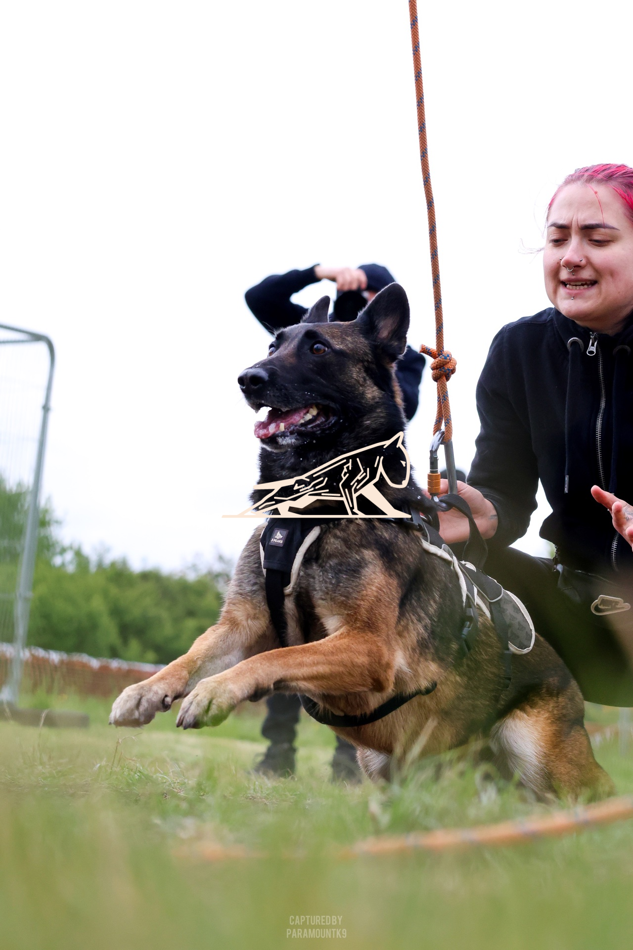 Top Line Canine Summer Opener - Image 114
