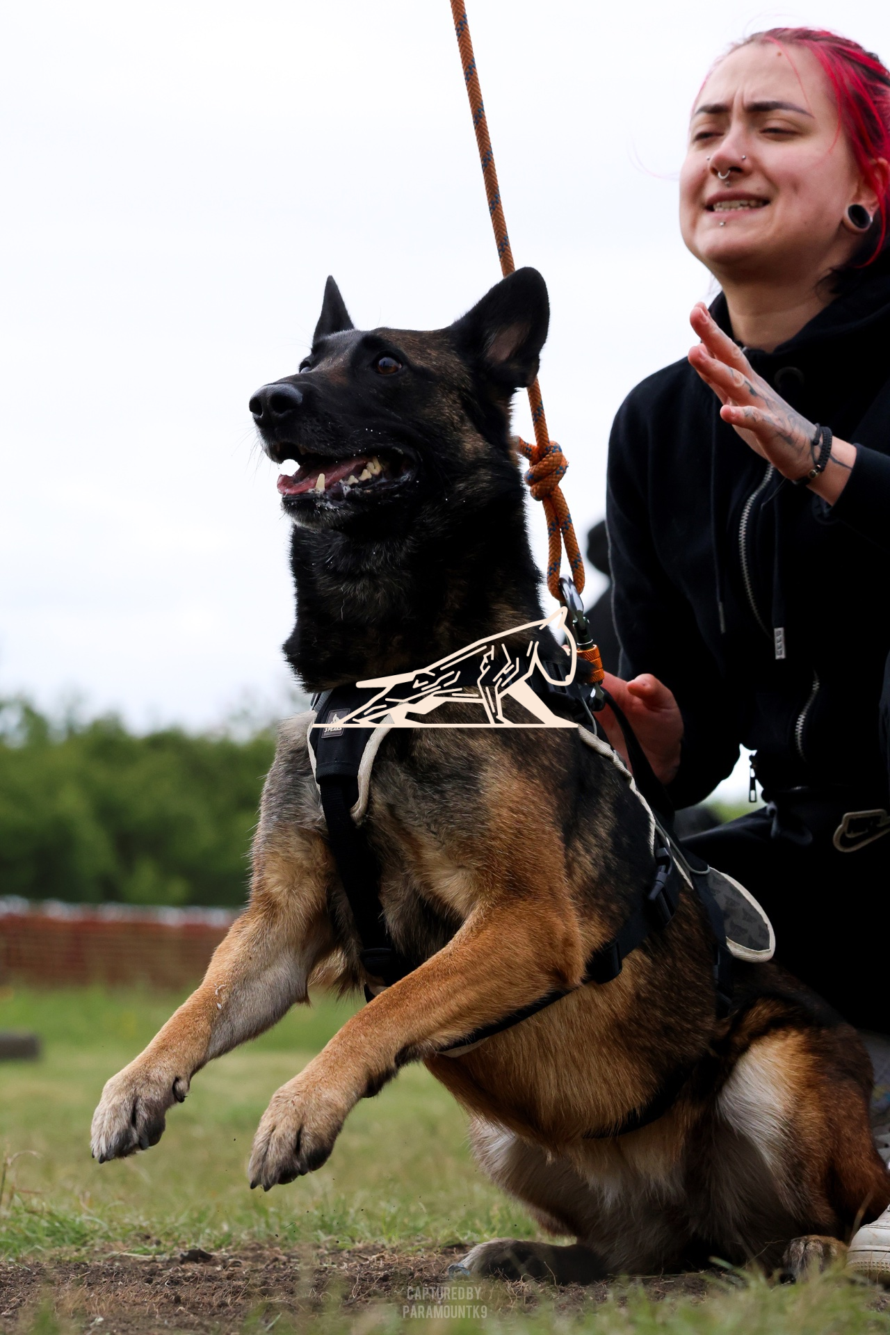Top Line Canine Summer Opener - Image 117