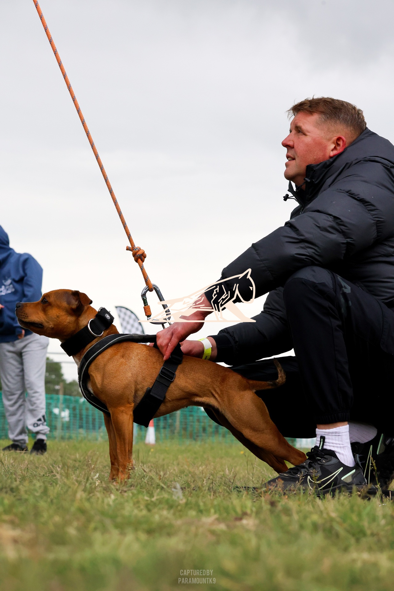 Top Line Canine Summer Opener - Image 134