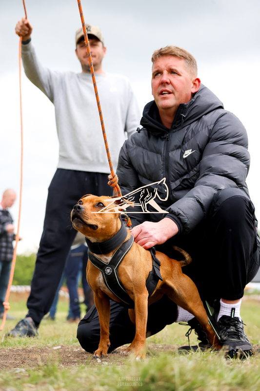 Top Line Canine Summer Opener - Image 143