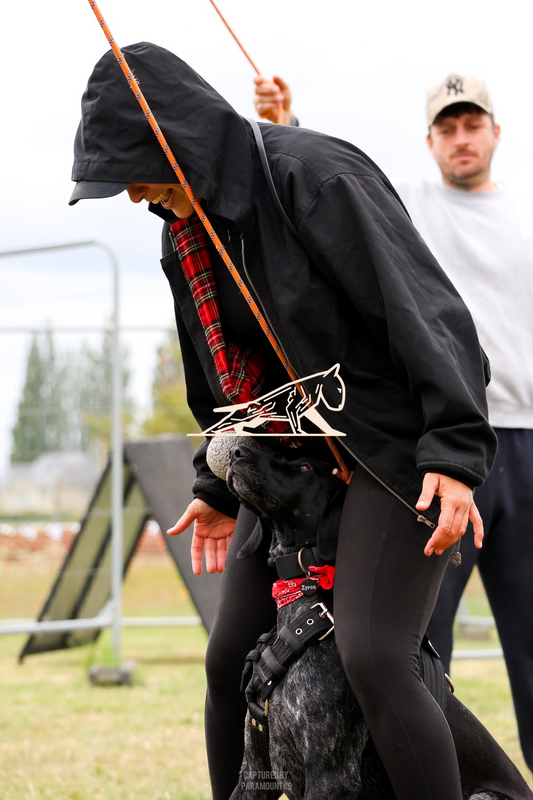 Top Line Canine Summer Opener - Image 152