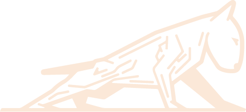 Captured By Paramount K9